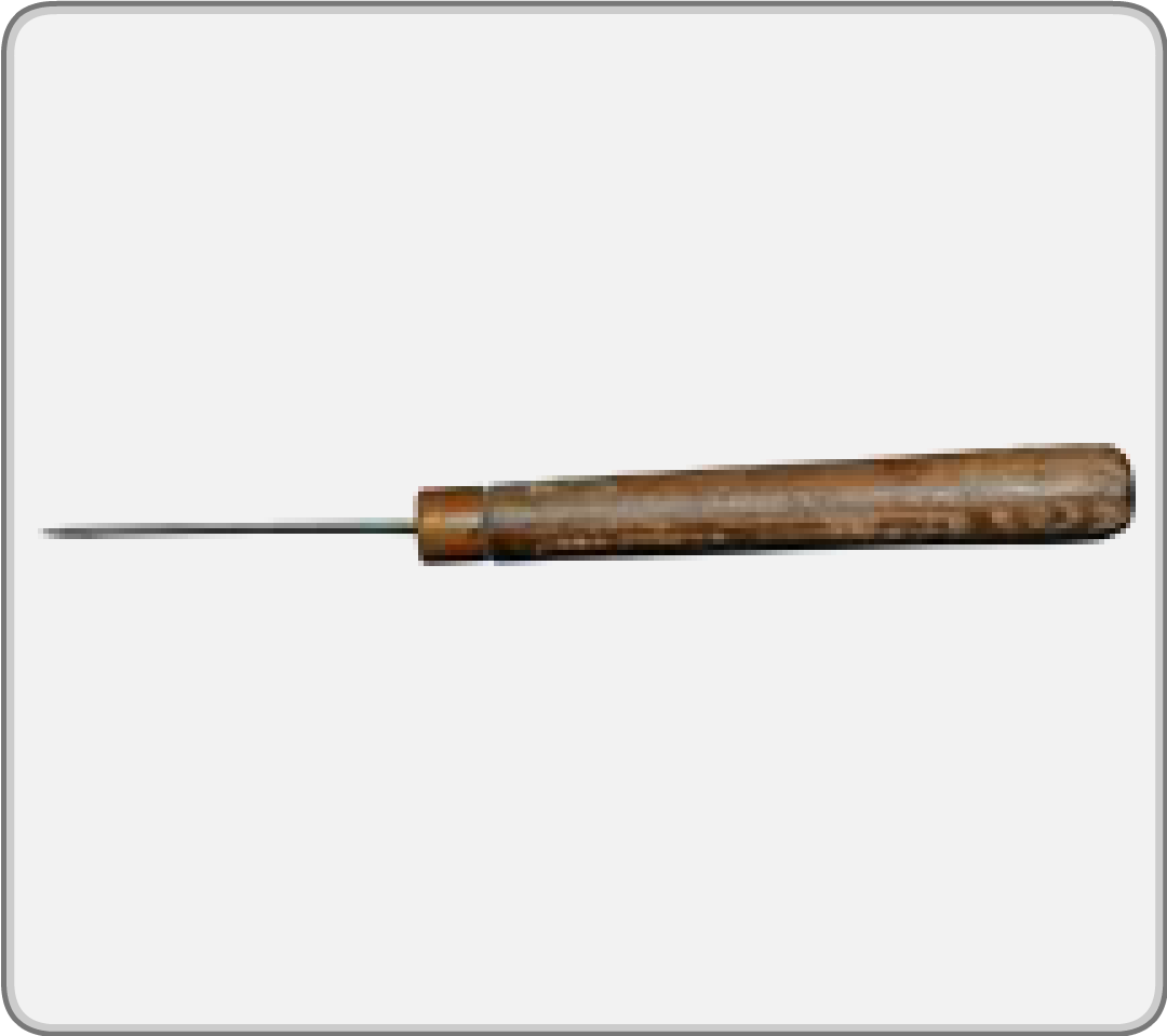 Pithing Needle