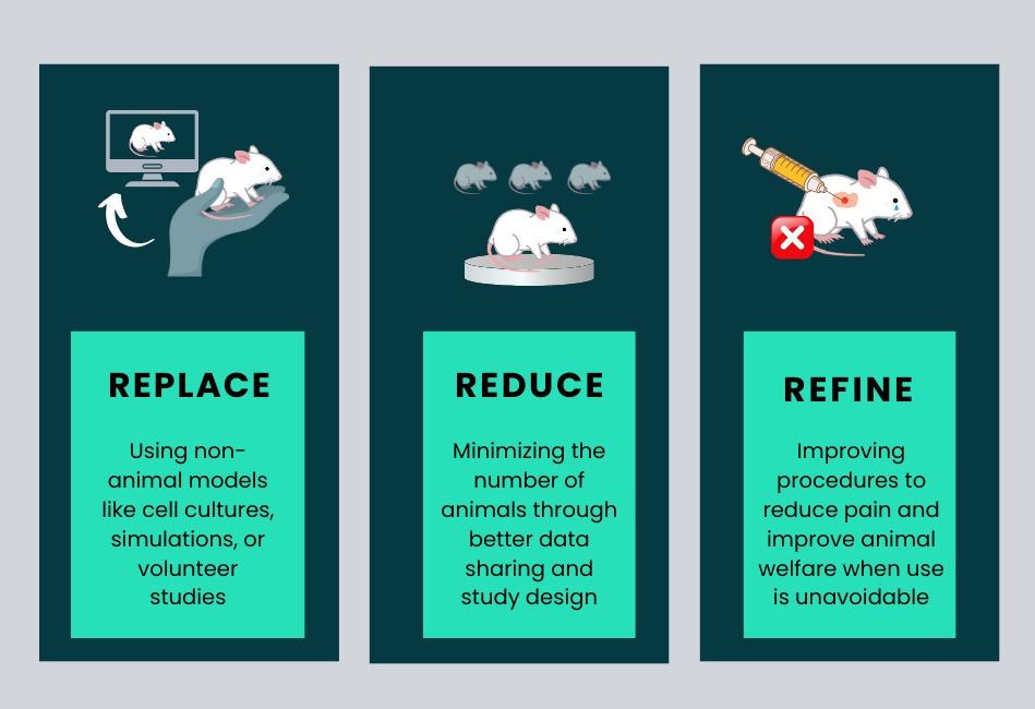 3Rs Ethical Alternatives to Animal Testing