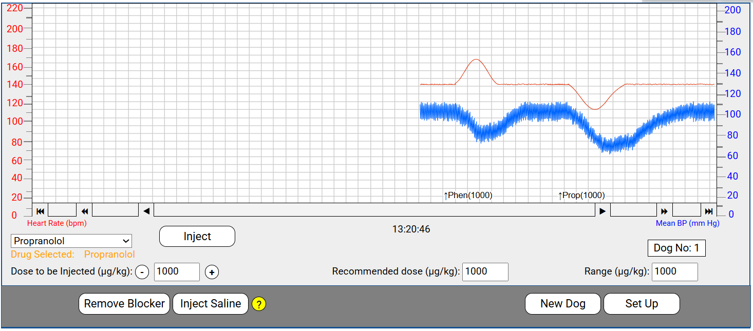 dog bp hr graph